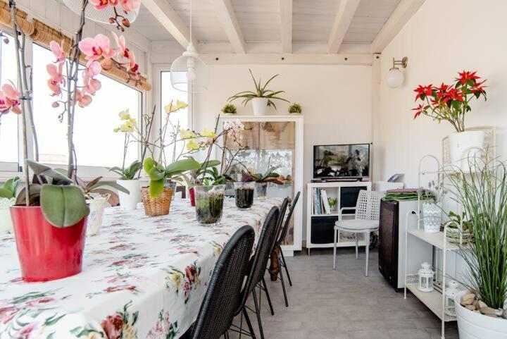 Bed and Breakfast Il Piccolo Attico Кальтаджироне Экстерьер фото